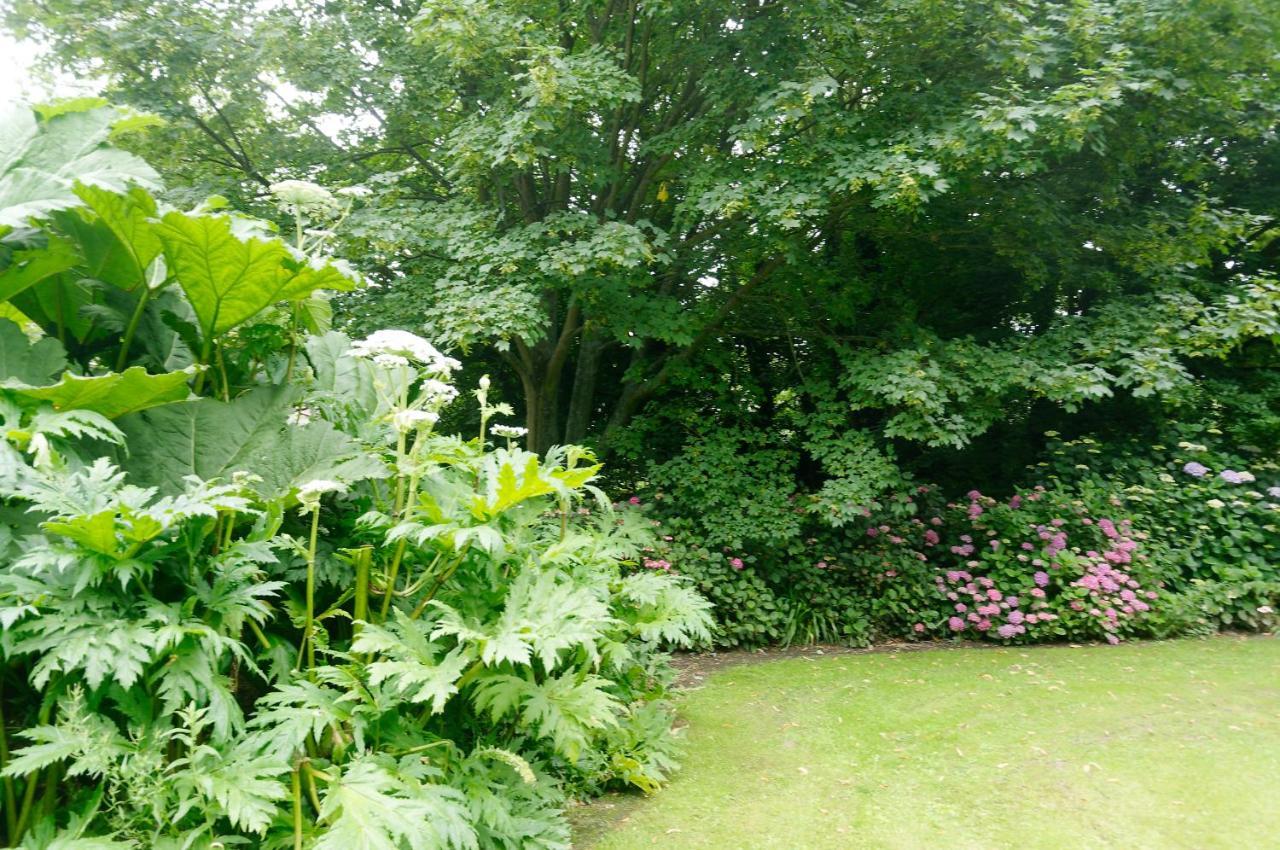 Le Cottage ボルドー・サン・クレール エクステリア 写真
